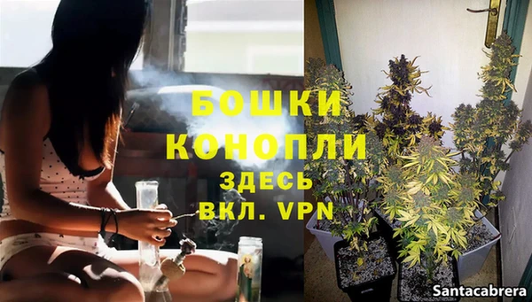 спайс Инсар