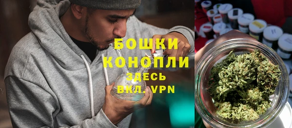 винт Няндома